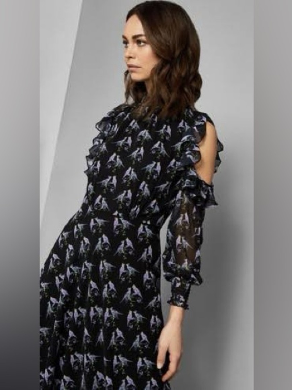 Ted Baker London Hilaina Love Birds Cold-Shoulder Ruffle Dress Size 3/US 8 NWT